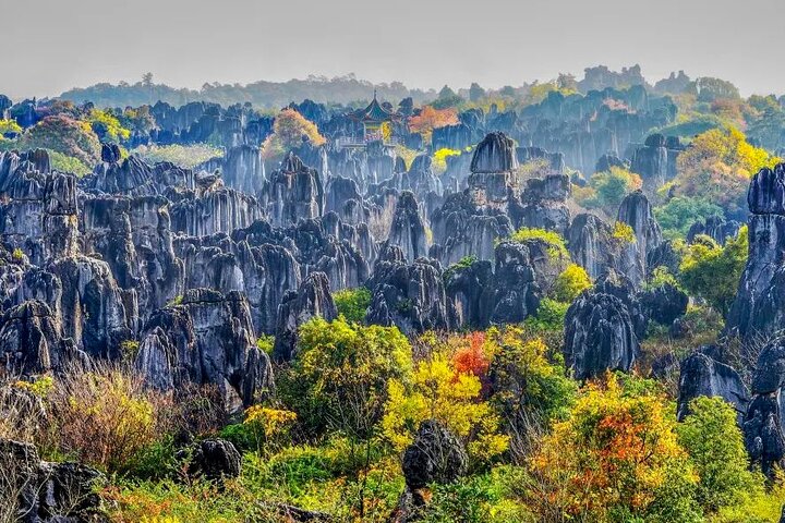 All Inclusive Kunming Tour till Stone Forest, Flower och Bird Market