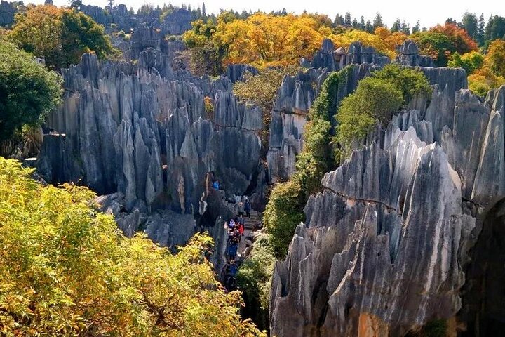 All Inclusive Kunming Tour till Stone Forest, Flower och Bird Market