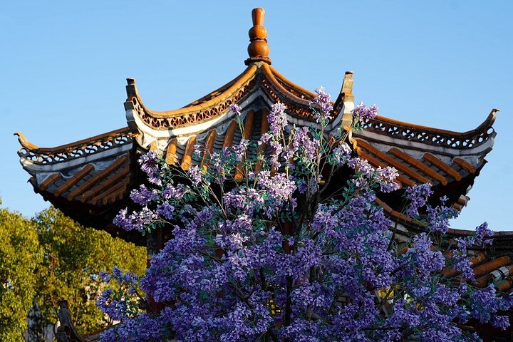 All Inclusive Kunming Tour till Stone Forest, Flower och Bird Market