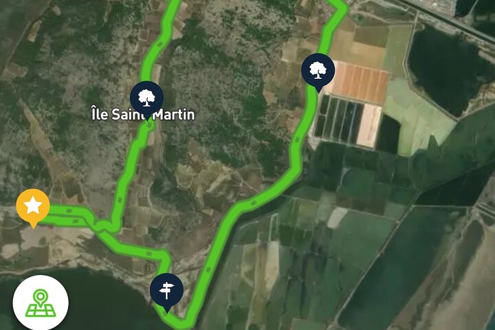 Explora Gruissan en bicicleta: playas, marismas y viñedos, libertad.