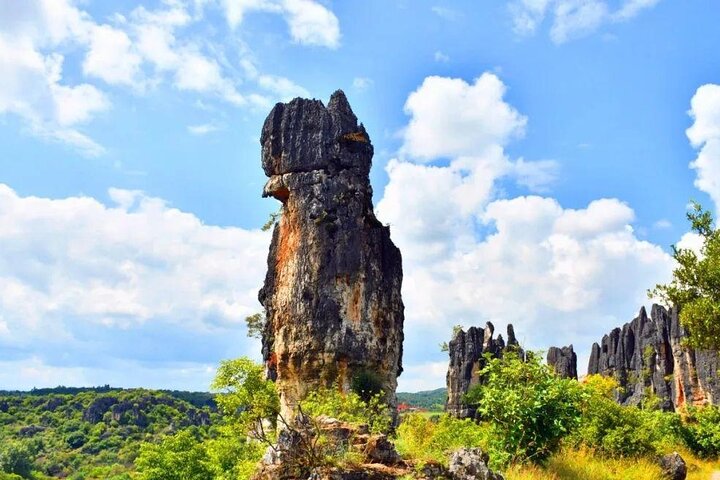 All Inclusive Kunming Tour till Stone Forest, Flower och Bird Market