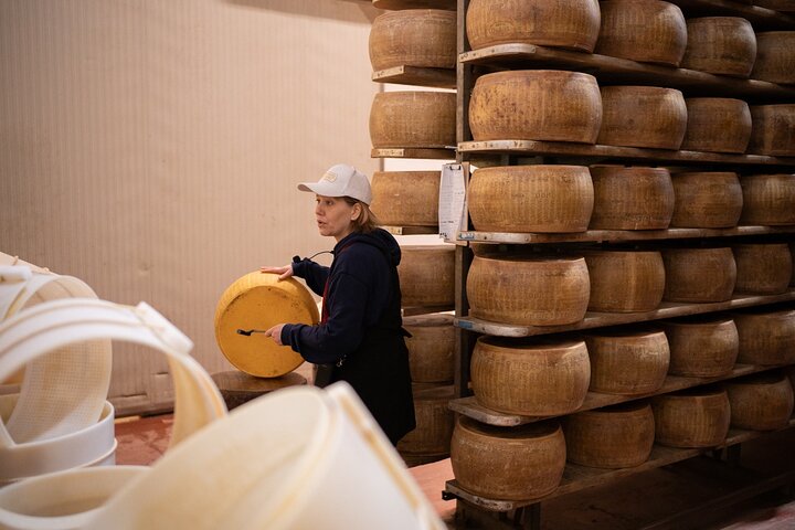 Bologne Food Valley Dégustation en petit groupe et déjeuner à la cave
