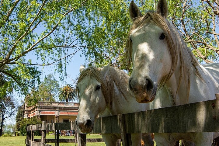 Gaucho Ganztag in kleiner Gruppe auf einem Bauernhof in Buenos Aires