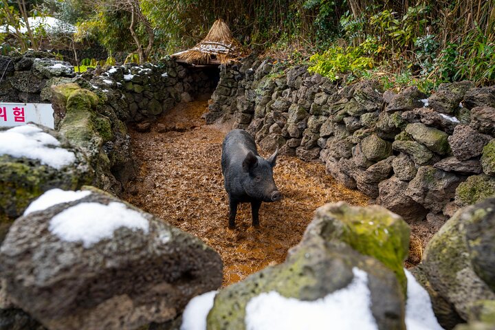 Passeio Privado Túnel de Lava de Manjanggul e Tour Leste na Ilha de Jeju