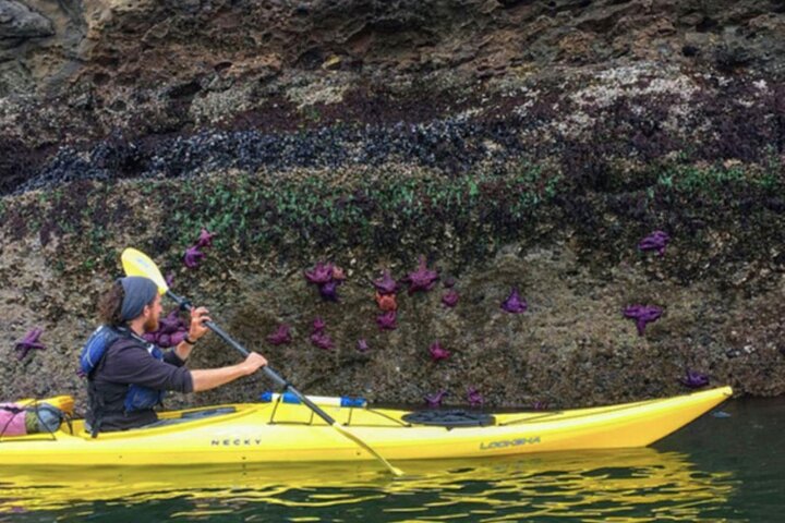 Tour in kayak costiero di Rosario sull'isola delle Orche