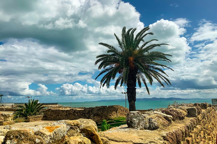 Sjarmen til hovedstaden: Kartago Sidi Bou Saïd og medinaen