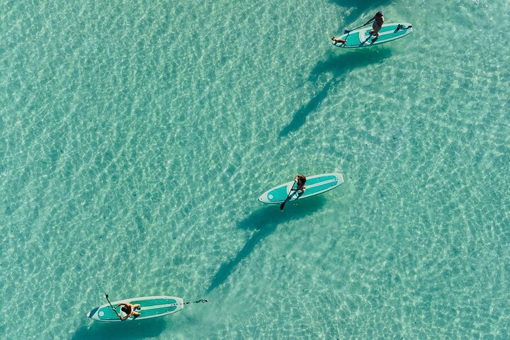 Excursion en planche à pagaie au lever du soleil de Bacalar avec petit déjeuner et photos