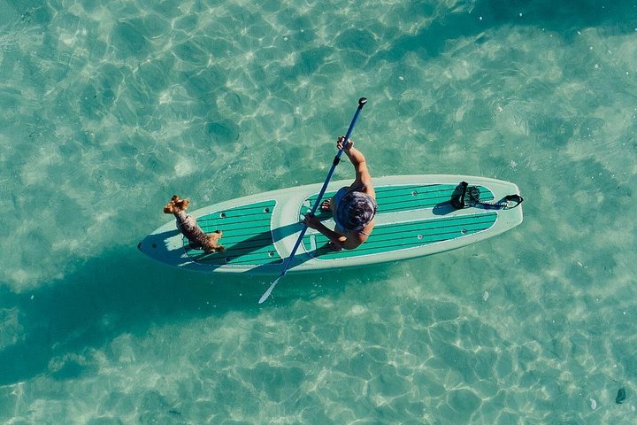 Excursion en planche à pagaie au lever du soleil de Bacalar avec petit déjeuner et photos