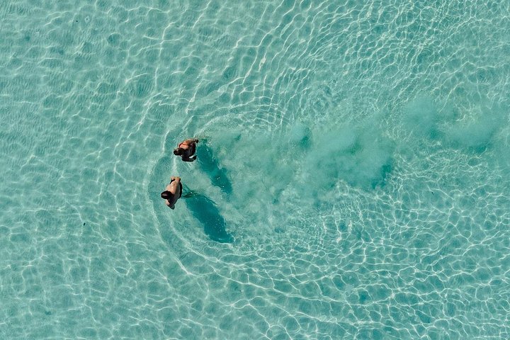 Excursion en planche à pagaie au lever du soleil de Bacalar avec petit déjeuner et photos