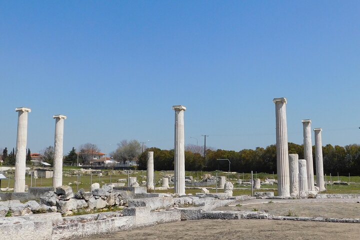 Alejandro Magno Experiencia: Tour Privado Vergina y Pella