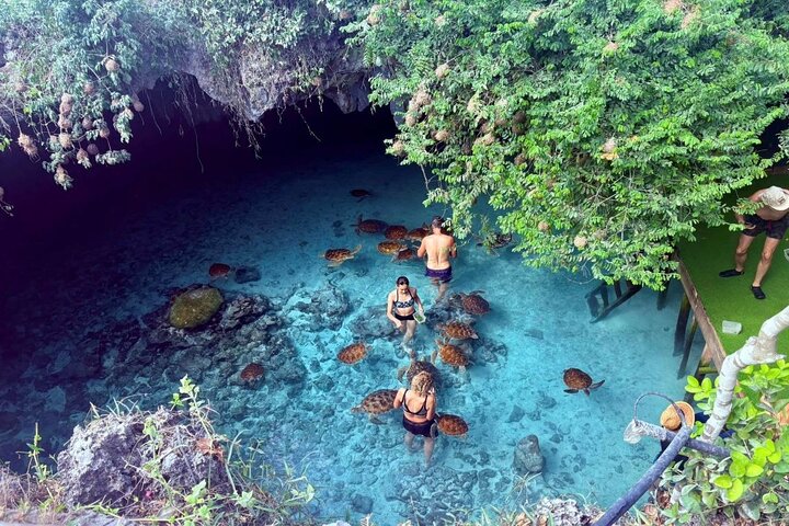 Hoteller i nærheten av Mnemba Dolphin Tour; Kuza Cave