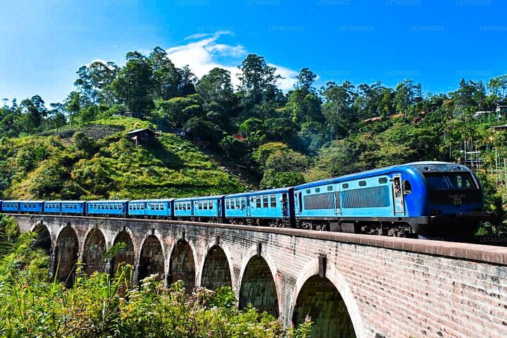 Hoteller i nærheden af Yala Safari & Ella Sightseeing Day Trip - Private & All Inclusive
