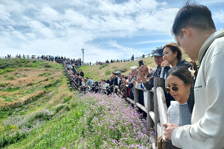 Halv- eller dagstur for krydstogtkunder, der ankommer til Gangjeong Port