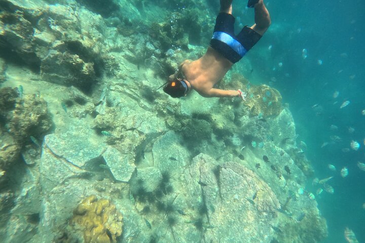 Tour de día completo de buceo con tobogán acuático