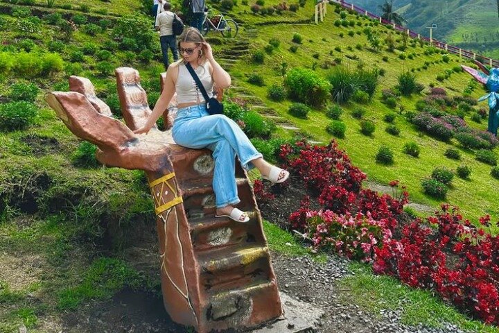 Salento, Cocora e Filandia Private Tour de Pereira ou Armênia