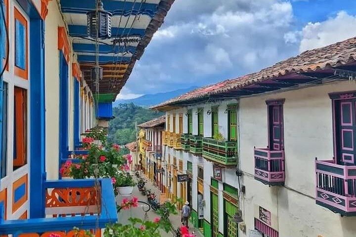 Salento, Cocora e Filandia Private Tour de Pereira ou Armênia