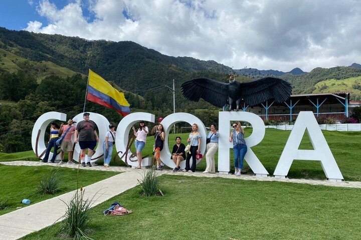 Salento, Cocora e Filandia Private Tour de Pereira ou Armênia