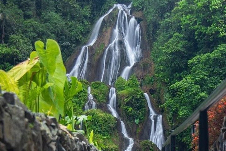 Tour a termales de santa rosa desde Pereira, Armenia o Salento