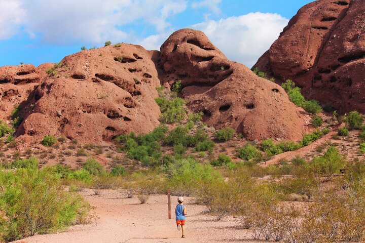 Tour in bici elettrica del lago di Hole in the Rock & Tempe - 2 ore