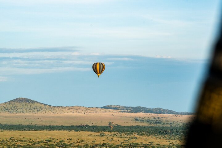 Serengeti varmluftsballongflygning med champagnefrukost