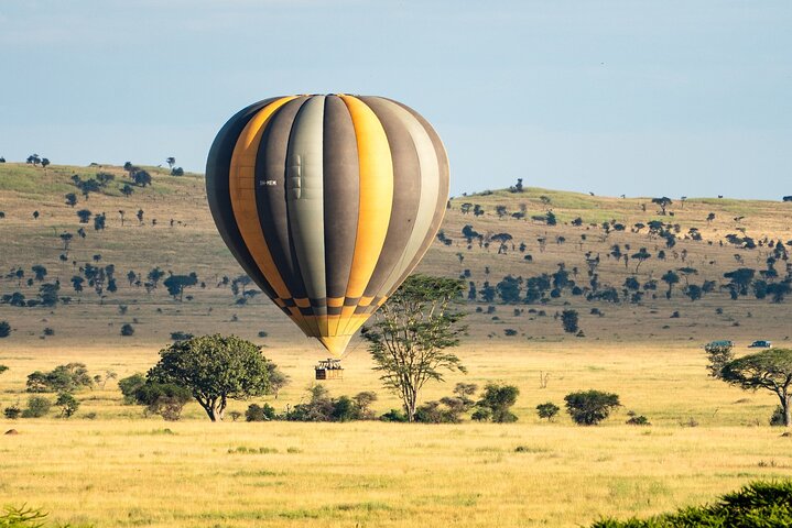 Serengeti varmluftsballongflygning med champagnefrukost