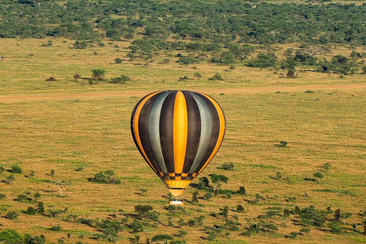 Serengeti varmluftsballongflygning med champagnefrukost