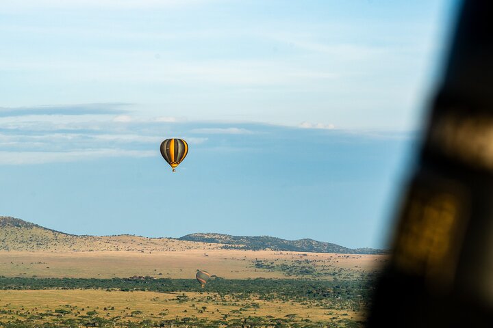 Serengeti varmluftsballongflygning med champagnefrukost