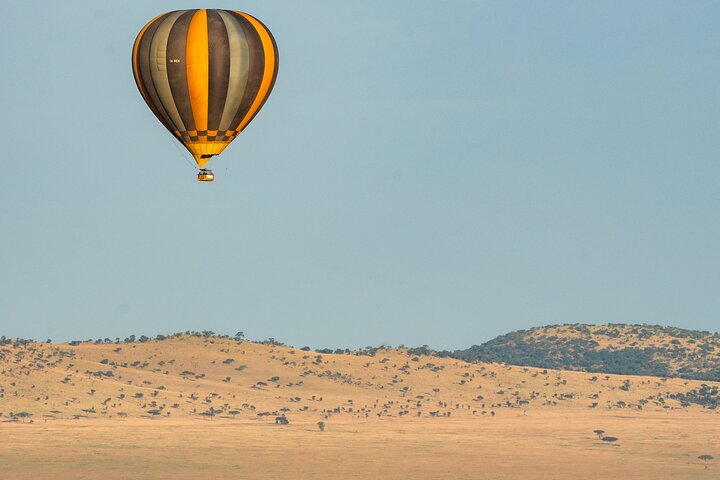 Serengeti varmluftsballongflygning med champagnefrukost