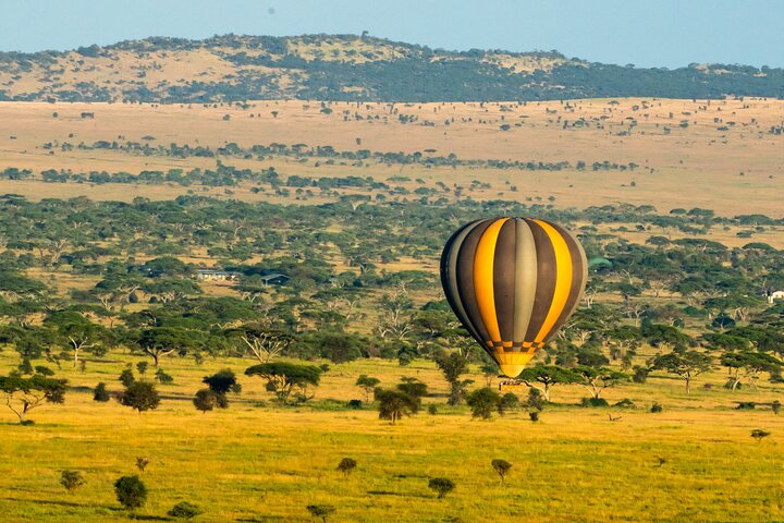Serengeti varmluftsballongflygning med champagnefrukost