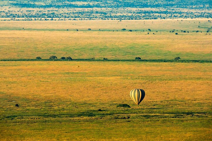 Serengeti varmluftsballongflygning med champagnefrukost