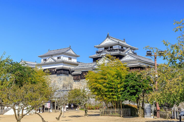 Excursión de un día a Matsuyama en taxi privado para hasta 9 personas