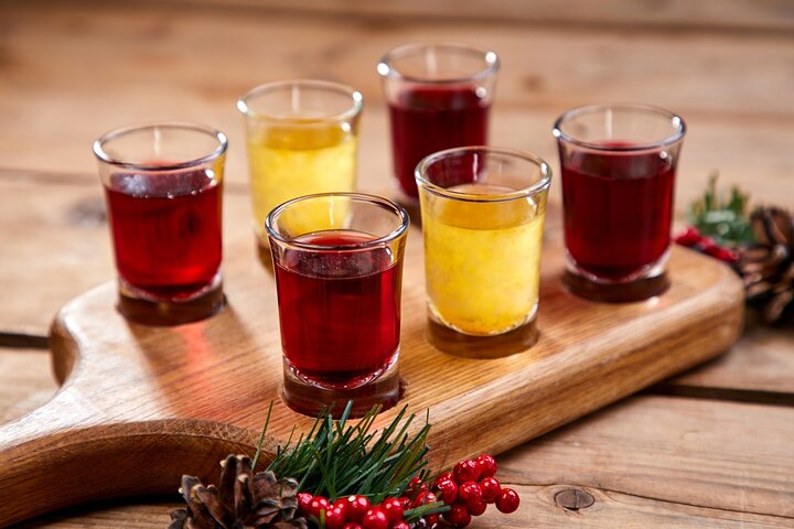 Tour privato di degustazione di vodka di Stettino