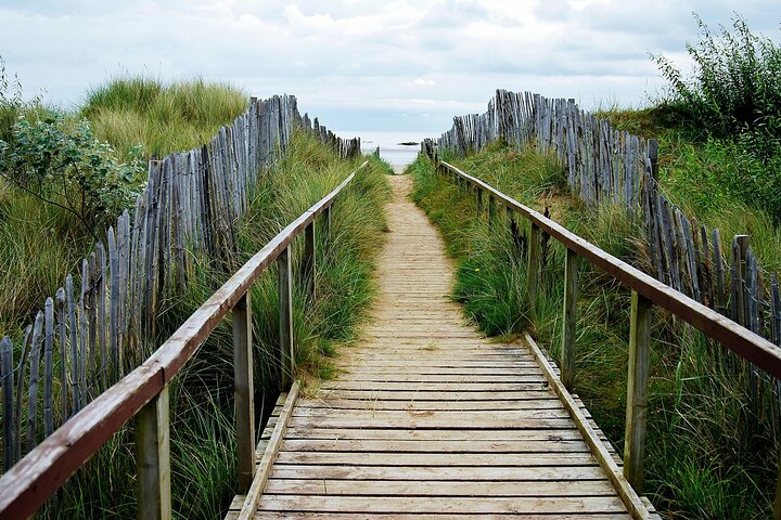 St Andrews: The Ultimate Bike og E Bike Tour - Se meget mere