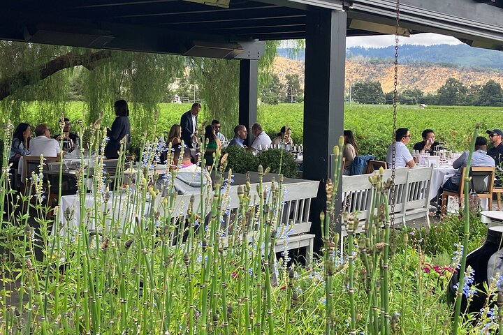 "Fabulous Private Wine Tour of Napa & Sonoma for 2 to 5 People"