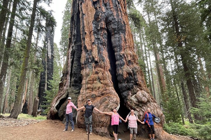 Transformativ Sequoia dagvandring