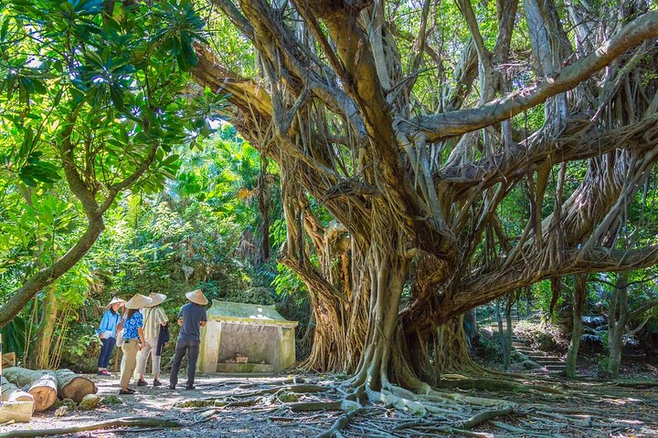 Tour in bicicletta di 3 ore a Okinawa con guida parlante inglese