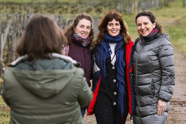 Saint-Émilion y Pomerol: Châteaux, catas, almuerzo y guía WSET
