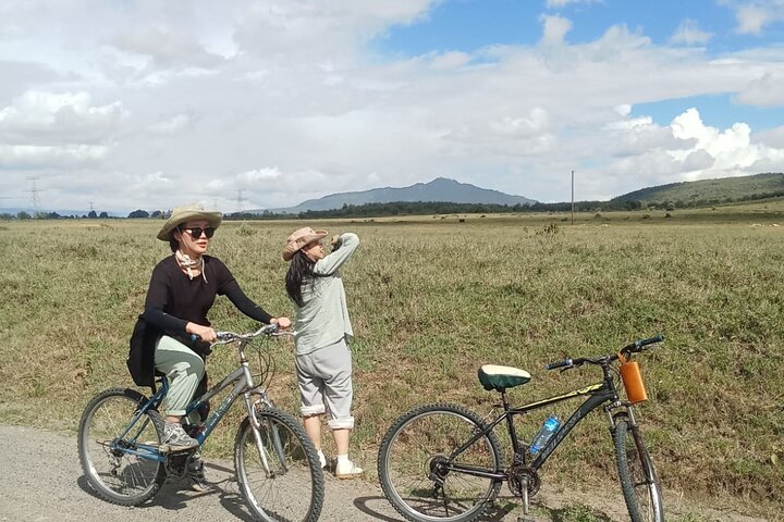 Excursão de dia inteiro ao Portão do Inferno e ao Lago Naivasha de Nairobi