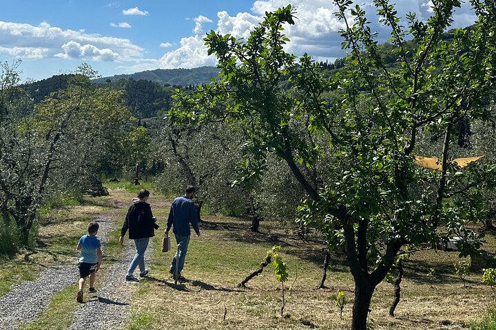 Picknick tussen de olijfbomen en proeverij van olijfolie en lokale smaken