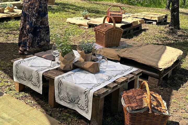 Picknick tussen de olijfbomen en proeverij van olijfolie en lokale smaken
