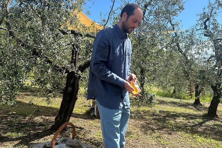 Picknick tussen de olijfbomen en proeverij van olijfolie en lokale smaken