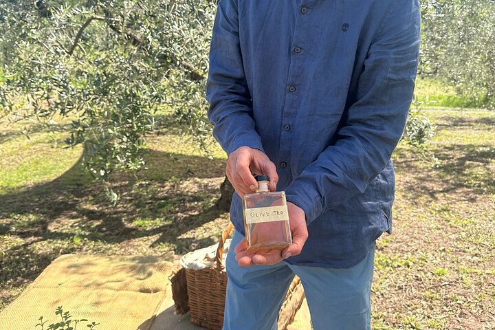 Picknick tussen de olijfbomen en proeverij van olijfolie en lokale smaken