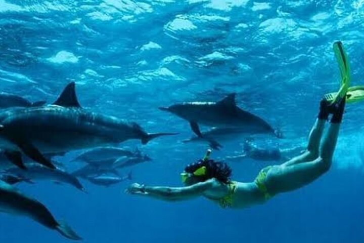 Hoteller i nærheden af Mnemba Island Dolphins Watching and Snorkeling