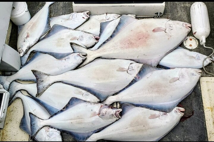 Delade fiskeäventyr i Icy Strait Hoonah Alaska