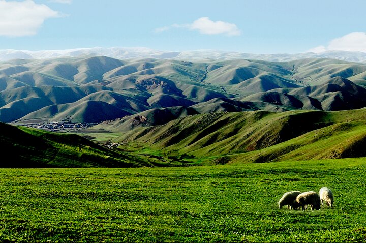 Huhhot Mongólia Interior 3 dias Xilamuren kubuqi Desert Nature Tour