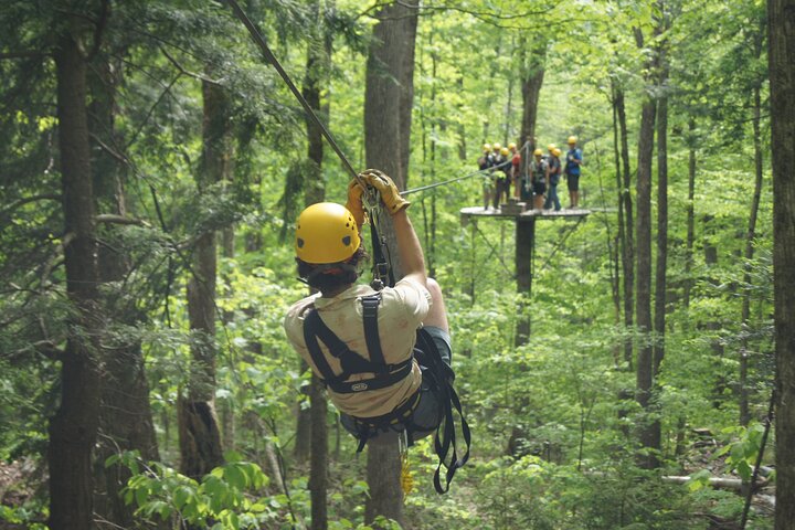 Tour de tirolesa en dosel - ArborTrek at Smugglers Notch Resort
