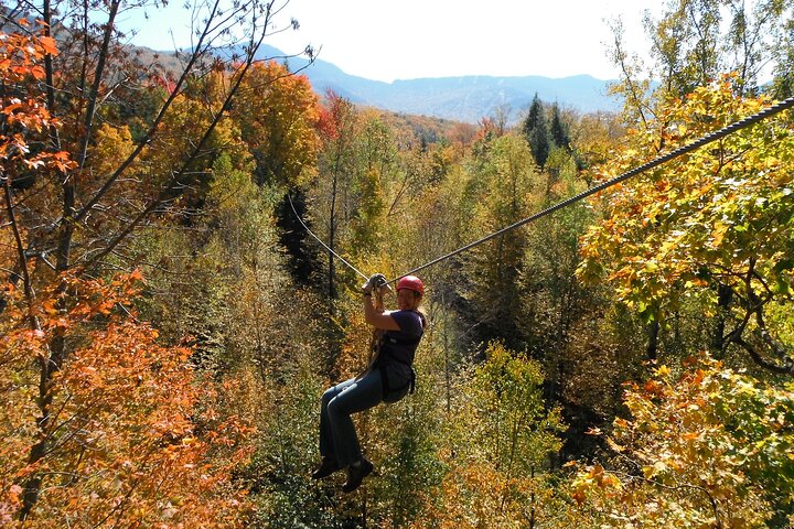 Tour de tirolesa en dosel - ArborTrek at Smugglers Notch Resort