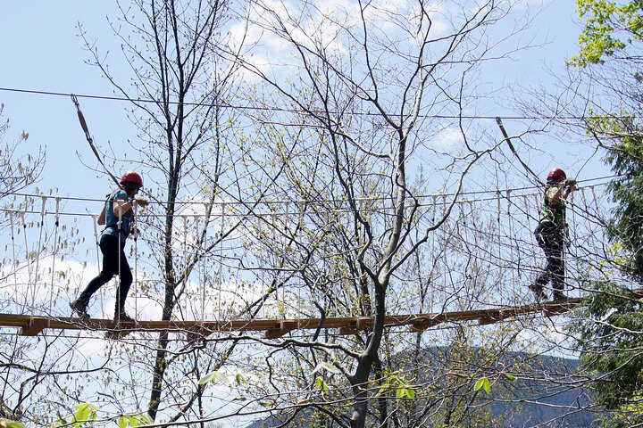 Tour de tirolesa en dosel - ArborTrek at Smugglers Notch Resort