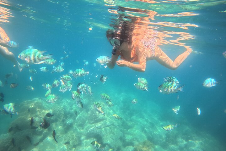 Tour de día completo de buceo con tobogán acuático