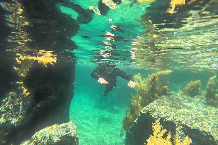 Tour de día completo de buceo con tobogán acuático